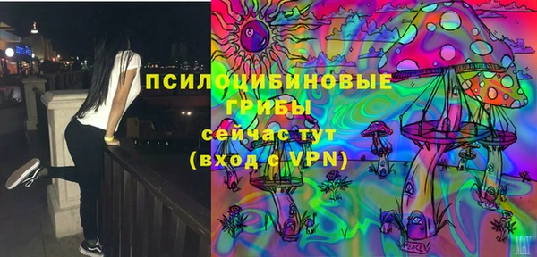 ALPHA PVP Усмань